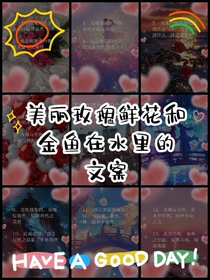 玫瑰和金魚圖片，《玫瑰和金魚圖片》獨特的“玫瑰和金魚圖片”將兩種截然不同的元素巧妙融合