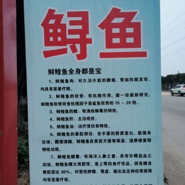 江蘇龍魚店，江蘇地區的“龍魚”相關店鋪呈現多元化經營模式
