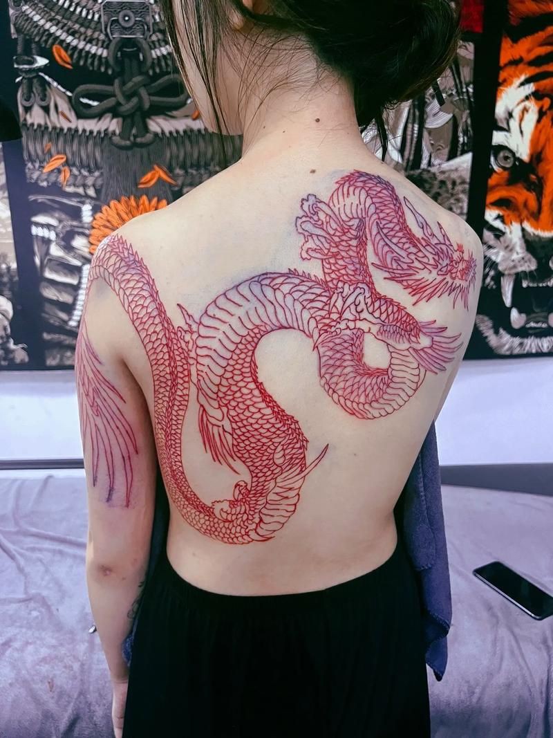 紅龍過背的特征圖片，“紅龍過背”是龍魚中極具觀賞價(jià)值的品種其特征其特征