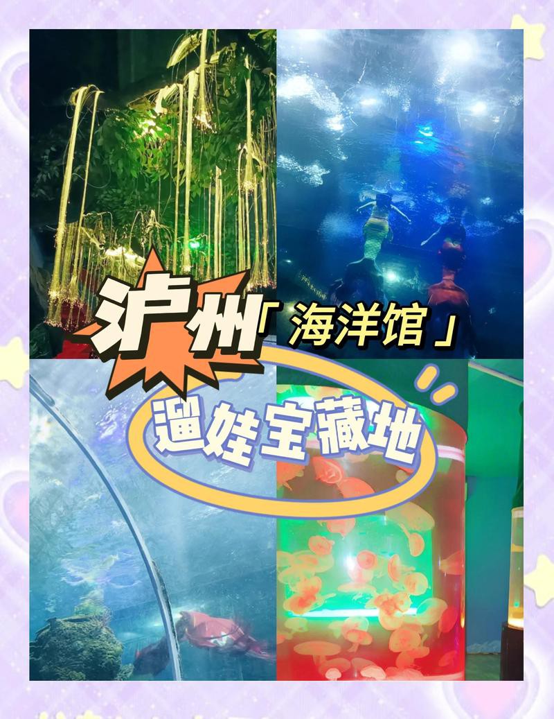 瀘州水族店，瀘州市江陽區水木印象水族店怎么樣愛企查瀘州歡樂海底世界