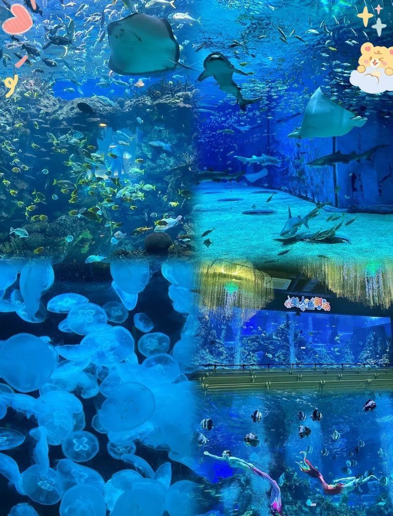 漯河水族館，漯河水族館游玩攻略