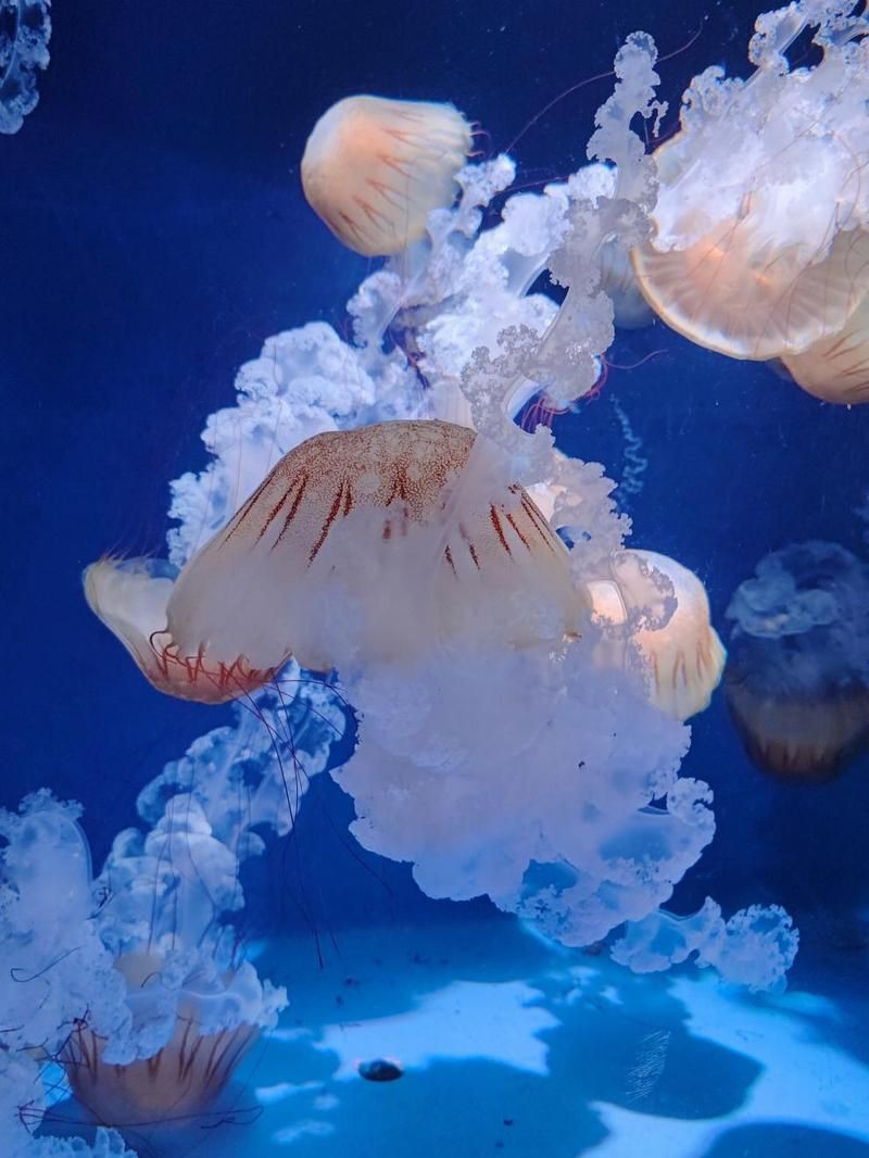 漯河水族館，漯河水族館游玩攻略