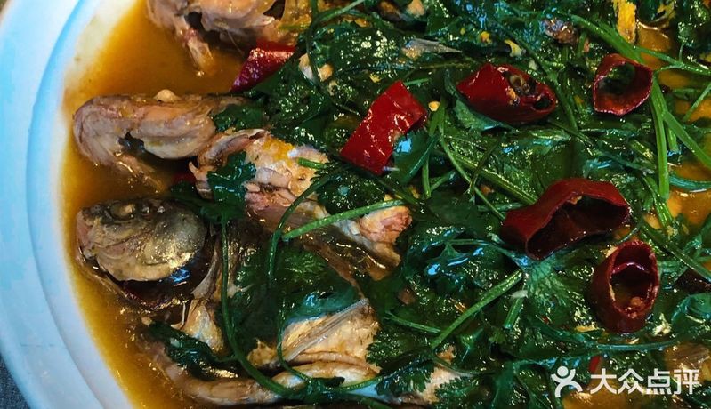 南岔龍魚店，南岔地區有沒有龍魚專賣店 南岔龍魚店，南岔地區有沒有龍魚專賣店 全國水族館企業名錄 第3張
