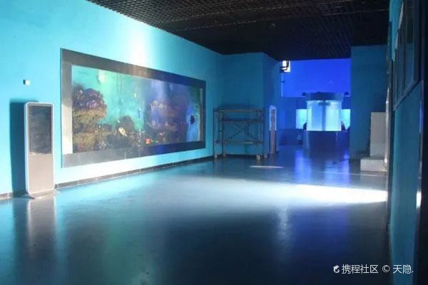 徐州水族店，徐州云龍湖水族館探秘之旅小樹精tracy海草球