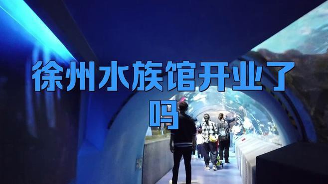 徐州水族店，徐州云龍湖水族館探秘之旅小樹精tracy海草球