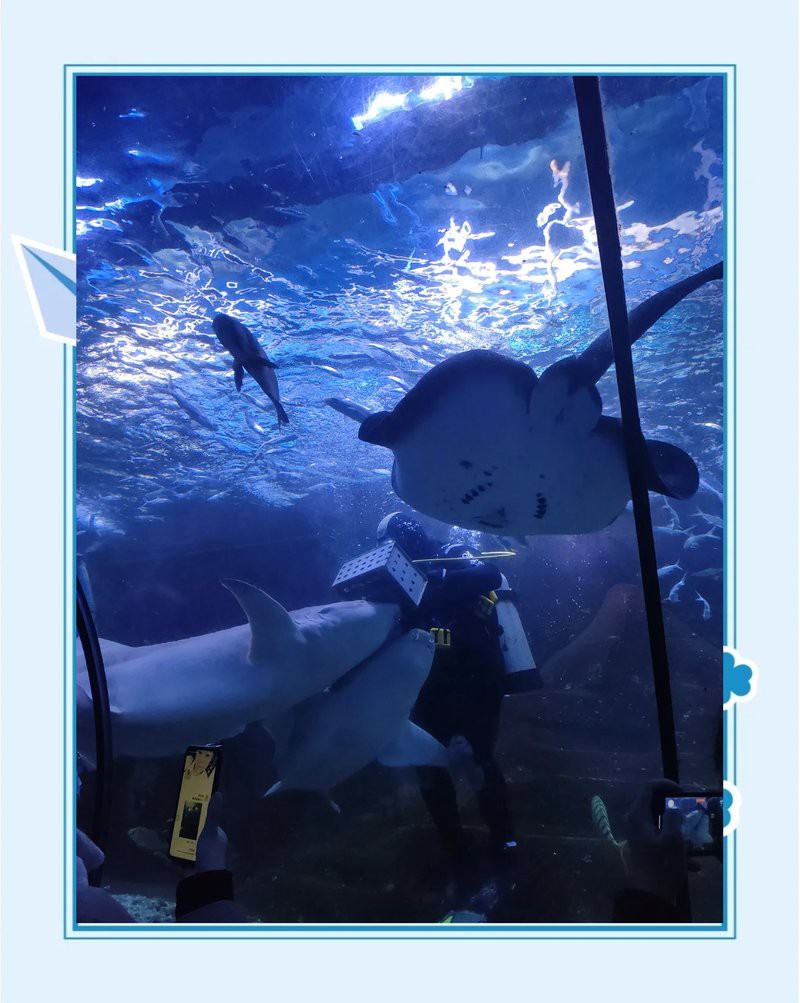 徐州水族店，徐州云龍湖水族館探秘之旅小樹精tracy海草球