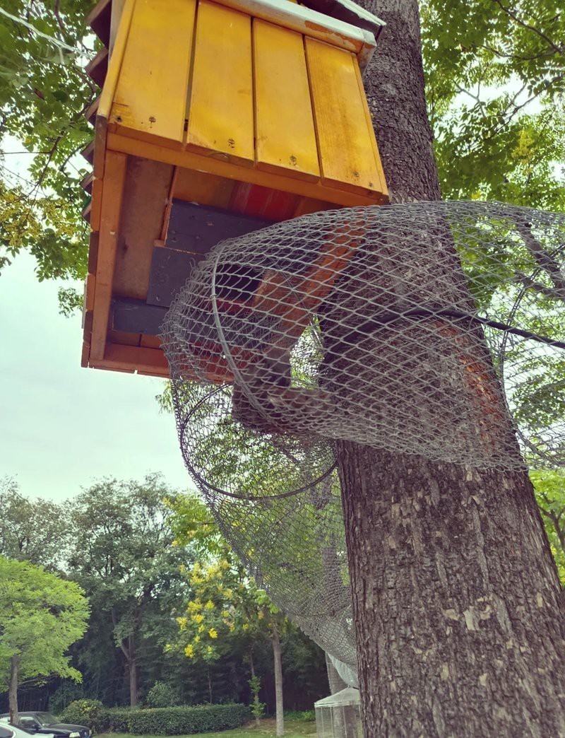徐州水族店，徐州云龍湖水族館探秘之旅小樹精tracy海草球