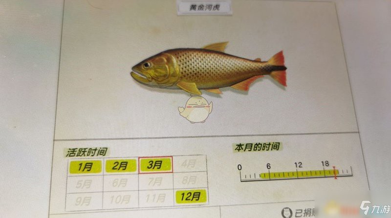 動森黃金河虎怎么獲得，《動物森友會》速刷黃金河虎技巧分享 動森黃金河虎怎么獲得，《動物森友會》速刷黃金河虎技巧分享 龍魚論壇 第2張