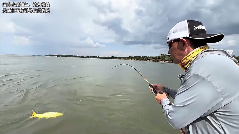 動森黃金河虎怎么獲得，《動物森友會》速刷黃金河虎技巧分享 動森黃金河虎怎么獲得，《動物森友會》速刷黃金河虎技巧分享 龍魚論壇 第4張