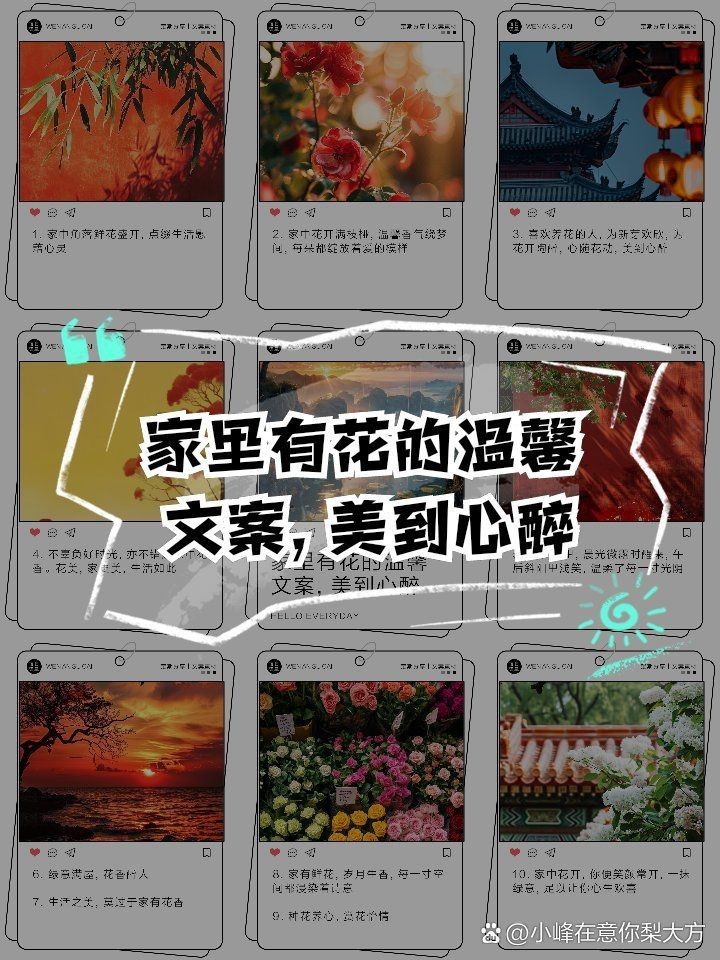 家花最經典十句話，《家花最經典十句話》《家花最經典十句話》聚焦“家花” 家花最經典十句話，《家花最經典十句話》《家花最經典十句話》聚焦“家花” 龍魚論壇 第10張