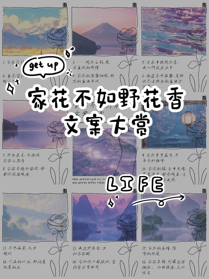 家花最經典十句話，《家花最經典十句話》《家花最經典十句話》聚焦“家花” 家花最經典十句話，《家花最經典十句話》《家花最經典十句話》聚焦“家花” 龍魚論壇 第5張