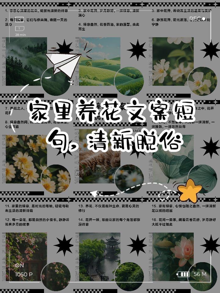 家花最經典十句話，《家花最經典十句話》《家花最經典十句話》聚焦“家花” 家花最經典十句話，《家花最經典十句話》《家花最經典十句話》聚焦“家花” 龍魚論壇 第3張