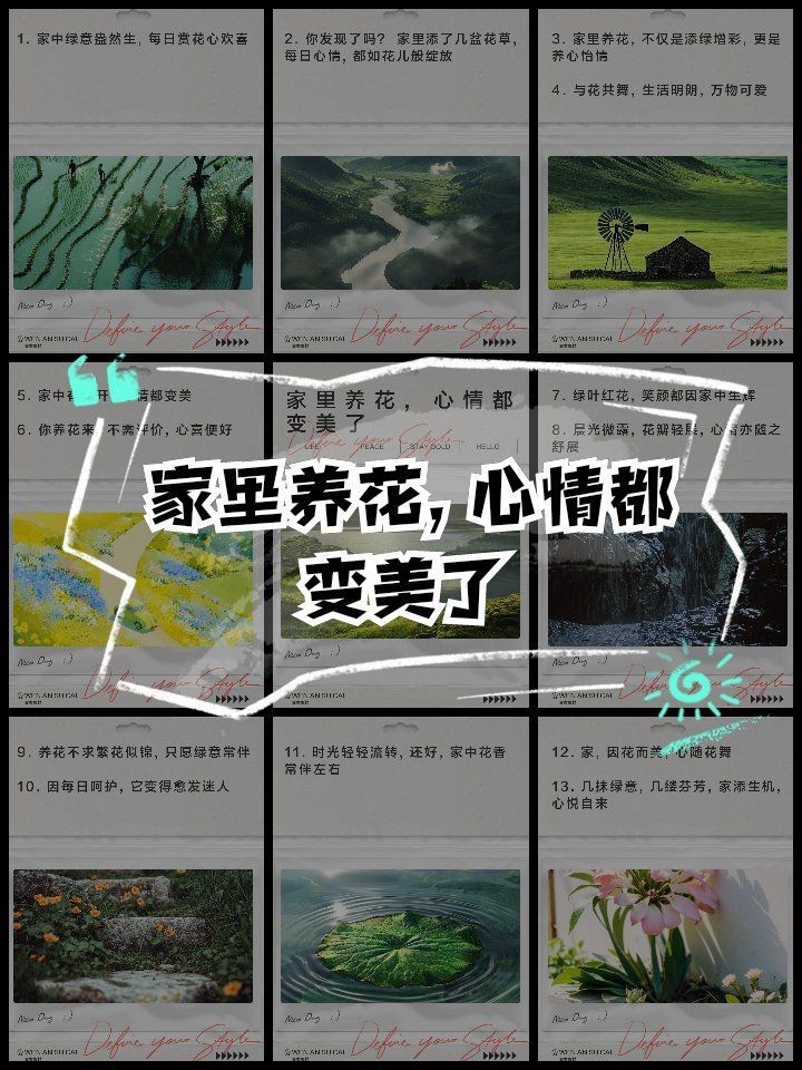 家花最經典十句話，《家花最經典十句話》《家花最經典十句話》聚焦“家花” 家花最經典十句話，《家花最經典十句話》《家花最經典十句話》聚焦“家花” 龍魚論壇 第14張