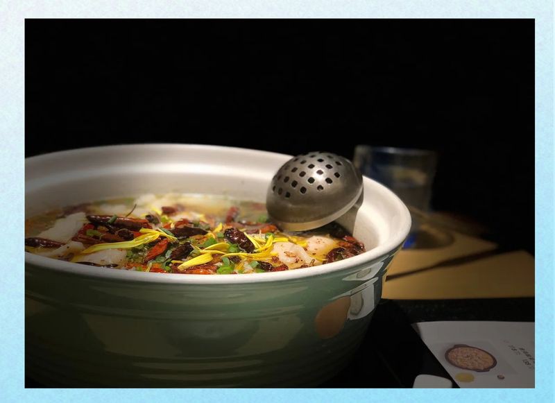 福州龍魚店，福州龍魚哪家好