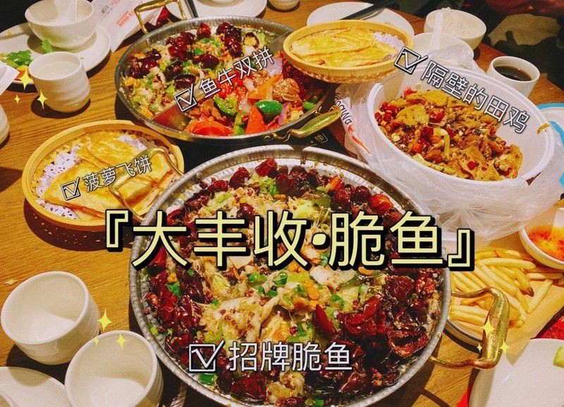 福州龍魚店，福州龍魚哪家好