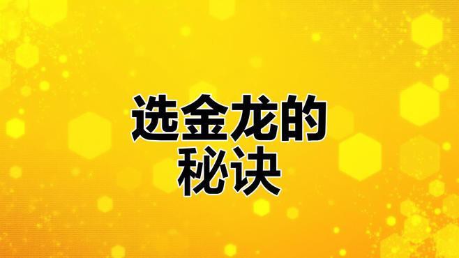 如何挑選高品質的古典金龍魚？，《如何挑選高品質的古典金龍魚?》 如何挑選高品質的古典金龍魚？，《如何挑選高品質的古典金龍魚?》 龍魚百科 第2張