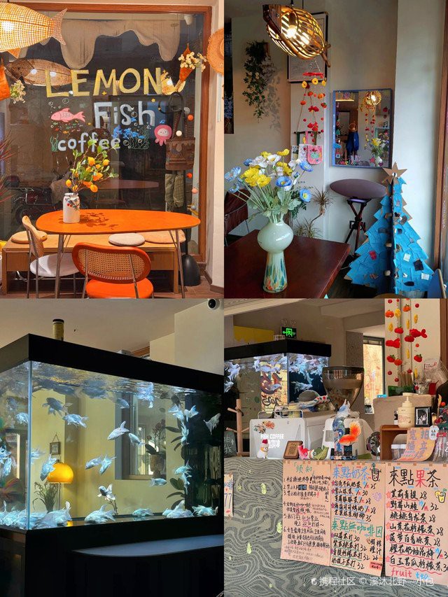 泉州水族店，泉州新門街|超有港風氛圍的水族店攜程旅行