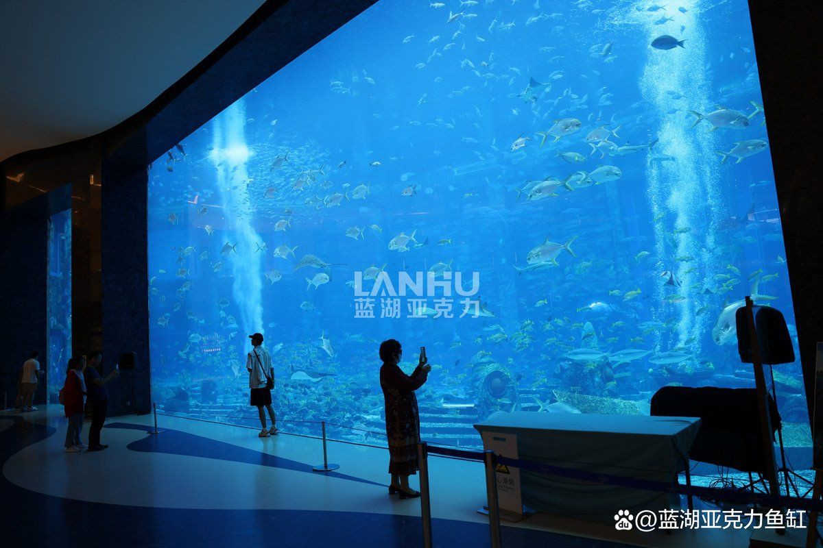 防城港魚缸定做，防城港魚缸定做的綜合指南 防城港魚缸定做，防城港魚缸定做的綜合指南 全國(guó)水族館企業(yè)名錄 第6張