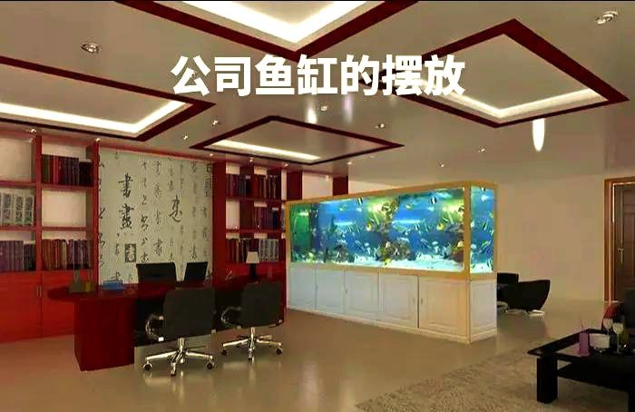 辦公室養龍魚幾條風水學，辦公室養龍魚數量與風水布局