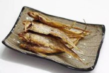 鳳尾魚圖片大全，“鳳尾魚圖片大全”匯集了多種形態與生態場景下的鳳尾魚視覺資料