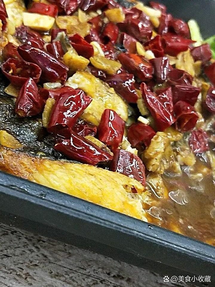獻(xiàn)縣龍魚店，獻(xiàn)縣有專業(yè)的龍魚養(yǎng)殖場(chǎng)嗎