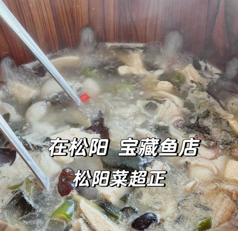 松陽龍魚店，廣州松陽龍魚店有哪些品種松陽龍魚店具體地址在哪里