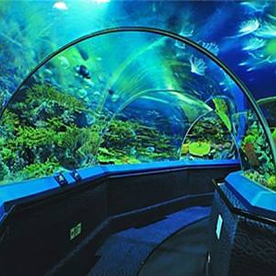 三峽水族店，三峽水族店哪家口碑最好 三峽水族店，三峽水族店哪家口碑最好 全國水族館企業名錄 第14張