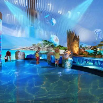 三峽水族店，三峽水族店哪家口碑最好 三峽水族店，三峽水族店哪家口碑最好 全國水族館企業名錄 第8張