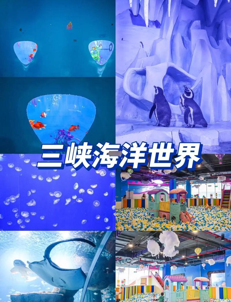 三峽水族店，三峽水族店哪家口碑最好 三峽水族店，三峽水族店哪家口碑最好 全國水族館企業名錄 第6張