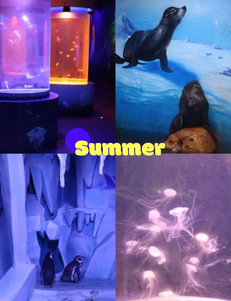 三峽水族店，三峽水族店哪家口碑最好 三峽水族店，三峽水族店哪家口碑最好 全國水族館企業名錄 第1張