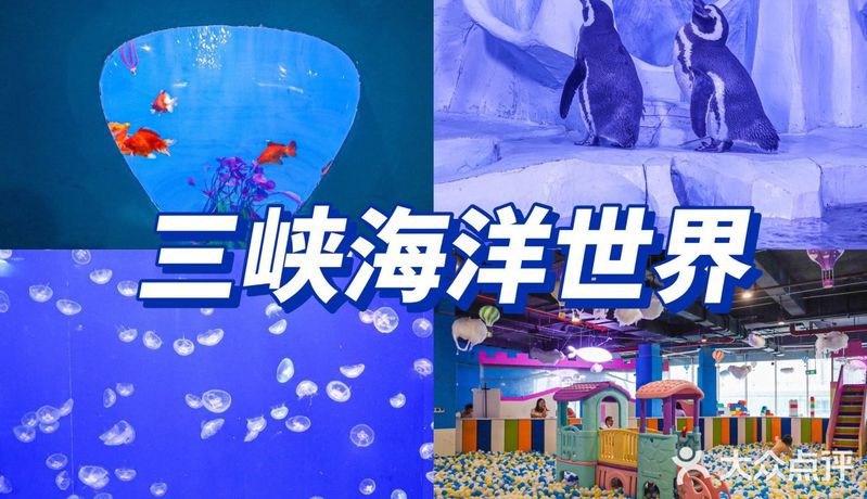 三峽水族店，三峽水族店哪家口碑最好 三峽水族店，三峽水族店哪家口碑最好 全國水族館企業名錄 第4張
