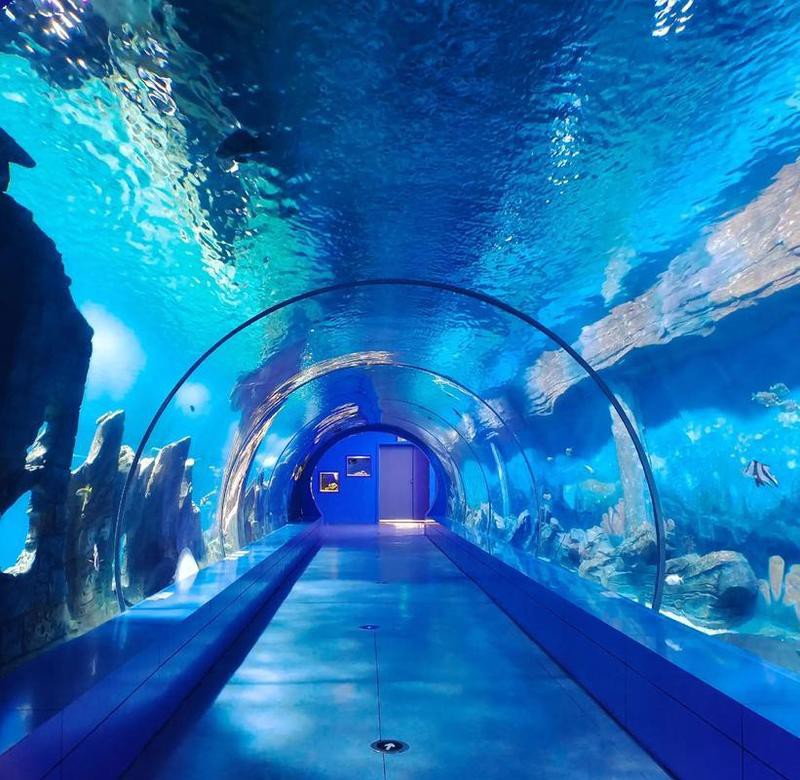 三峽水族店，三峽水族店哪家口碑最好 三峽水族店，三峽水族店哪家口碑最好 全國水族館企業名錄 第2張