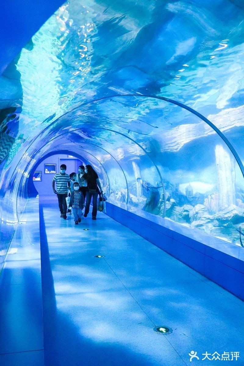 三峽水族店，三峽水族店哪家口碑最好 三峽水族店，三峽水族店哪家口碑最好 全國水族館企業名錄 第5張