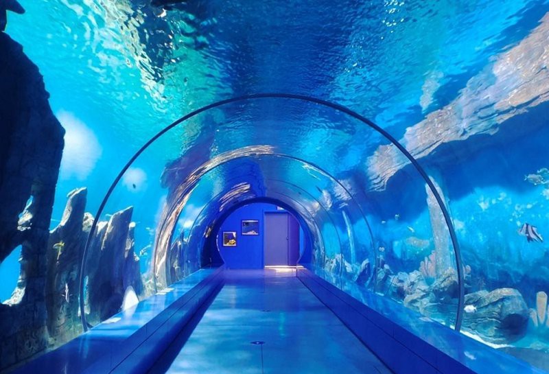 三峽水族店，三峽水族店哪家口碑最好 三峽水族店，三峽水族店哪家口碑最好 全國水族館企業名錄 第3張