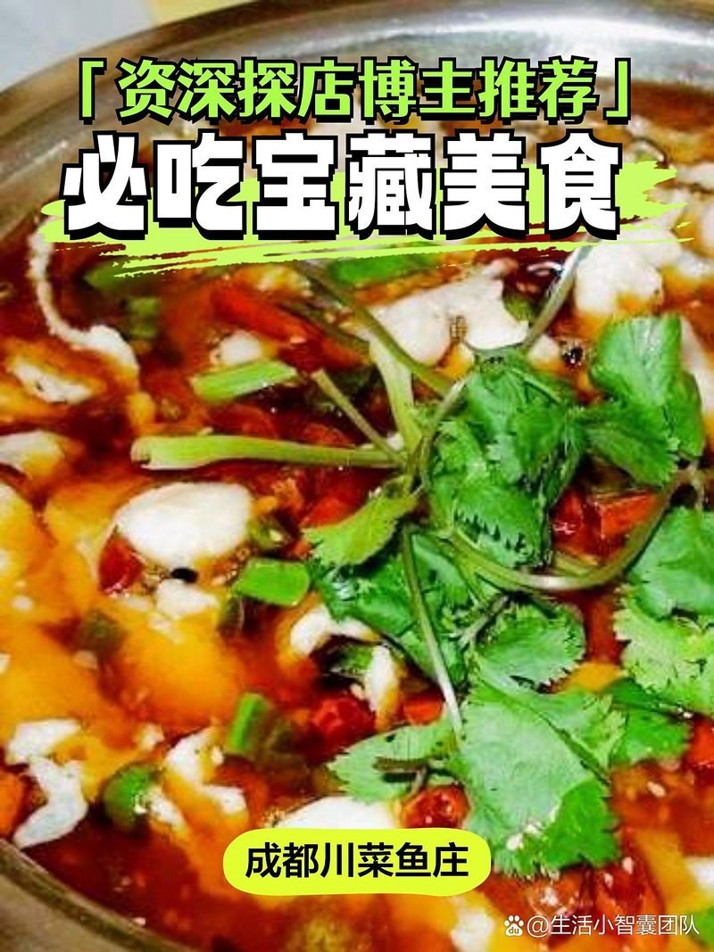 正定龍魚店，正定龍魚店哪家性價(jià)比最高