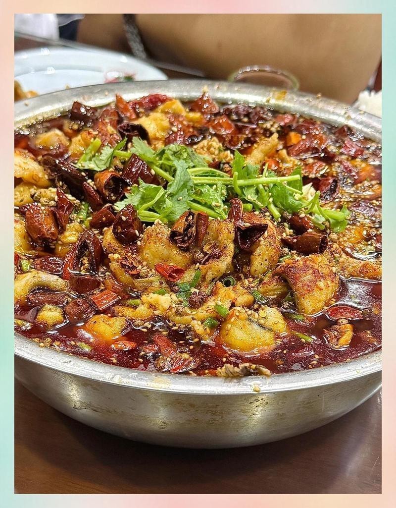 正定龍魚店，正定龍魚店哪家性價(jià)比最高