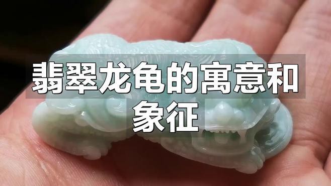 佩戴龍龜能帶來哪些好處，佩戴龍龜的好處 佩戴龍龜能帶來哪些好處，佩戴龍龜的好處 龍魚百科 第10張