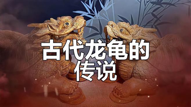 佩戴龍龜能帶來哪些好處，佩戴龍龜的好處 佩戴龍龜能帶來哪些好處，佩戴龍龜的好處 龍魚百科 第12張