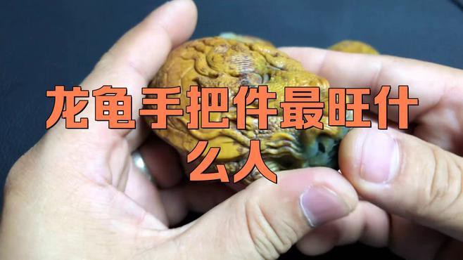 佩戴龍龜能帶來哪些好處，佩戴龍龜的好處 佩戴龍龜能帶來哪些好處，佩戴龍龜的好處 龍魚百科 第6張