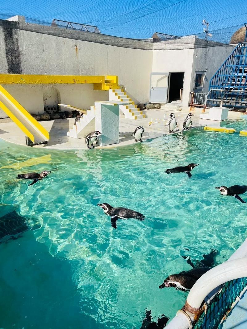 無錫水族店，無錫“水族咖啡店”