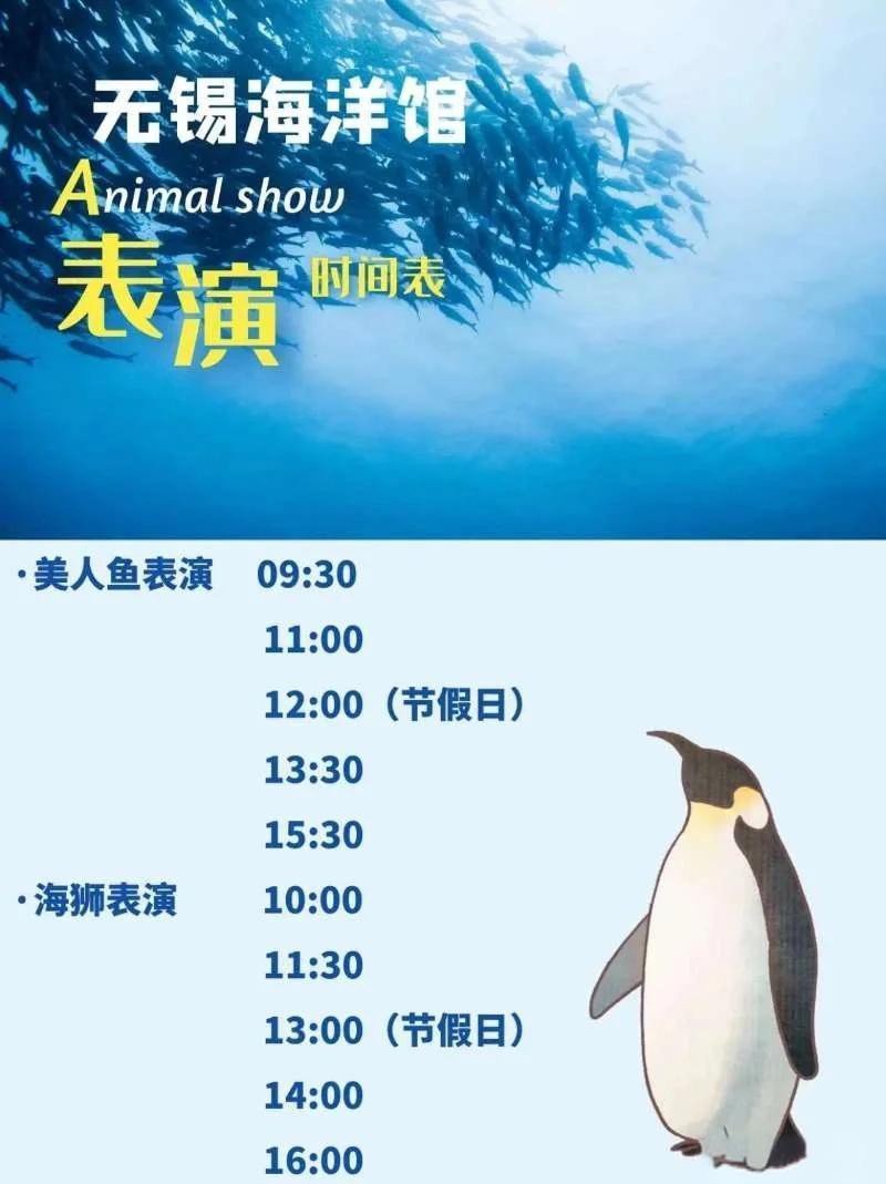 無錫水族店，無錫“水族咖啡店”