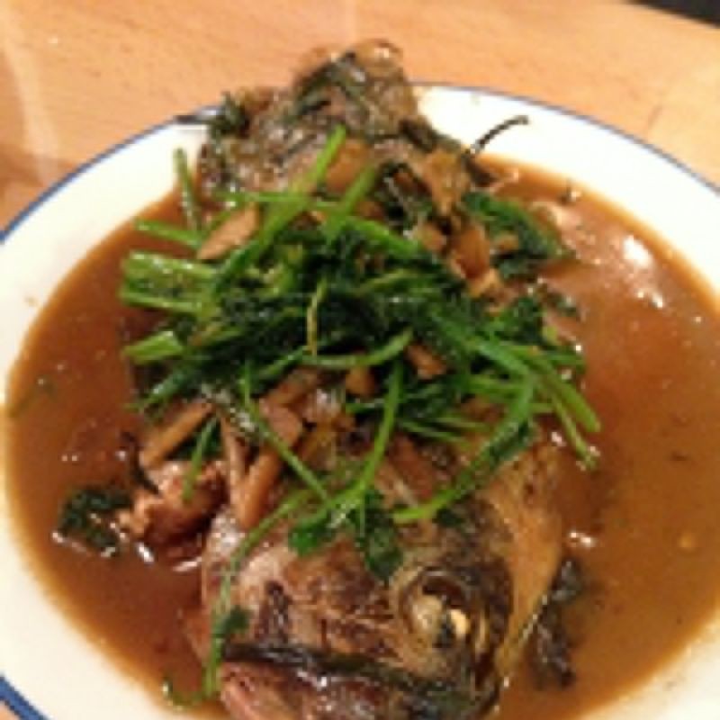 紅勾銀版魚制作過程詳解，《紅勾銀版魚制作過程詳解》 紅勾銀版魚制作過程詳解，《紅勾銀版魚制作過程詳解》 龍魚論壇 第7張