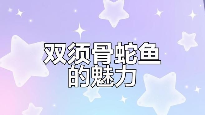 給我推薦一些性價比高的銀龍魚，身姿矯健,霸氣英俊的觀賞魚——龍魚小科普