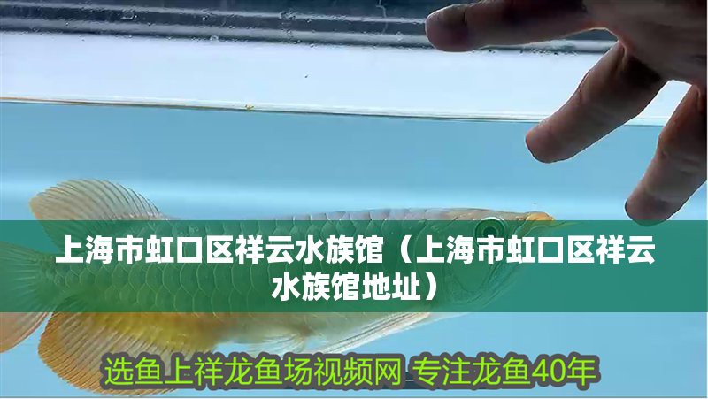 祥云龍魚店，上海市虹口區祥云水族館
