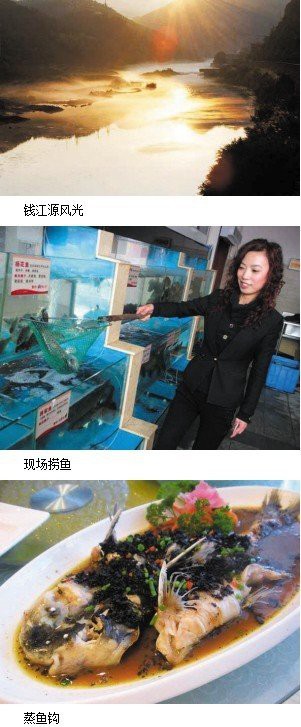 開化水族店，開化小喜原生水族店 開化水族店，開化小喜原生水族店 全國水族館企業(yè)名錄 第1張