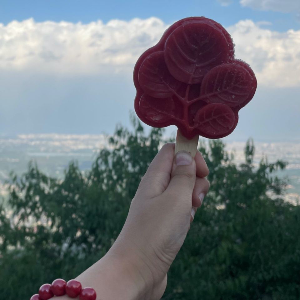 馬鞍山水族館，馬鞍山水族行業營收同比增長17%休閑娛樂為一體的海洋主題展館