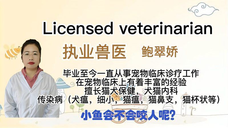 紅龍魚吃小魚會咬人嗎？，紅龍魚吃小魚會咬人嗎:龍魚性格與混養技巧全解析