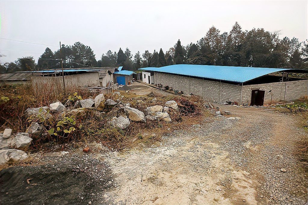 農村養殖大棚算違建嗎，關于農村養殖大棚違建的建議