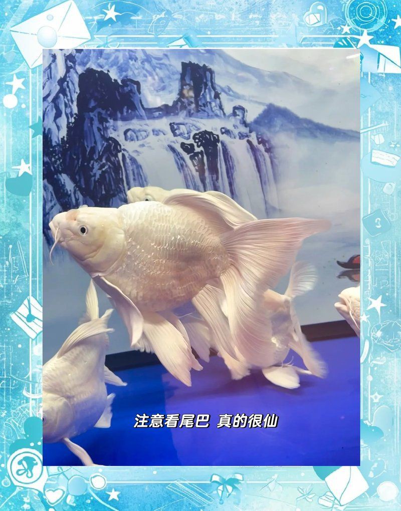 常德水族館，常德水族館：一場奇幻的海洋之旅，八月的驕陽炙烤著大地 常德水族館，常德水族館：一場奇幻的海洋之旅，八月的驕陽炙烤著大地 全國水族館企業名錄 第5張