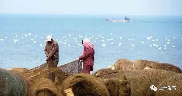 海龍魚被禁止后有何變化？，海龍魚被禁售和食用后的變化